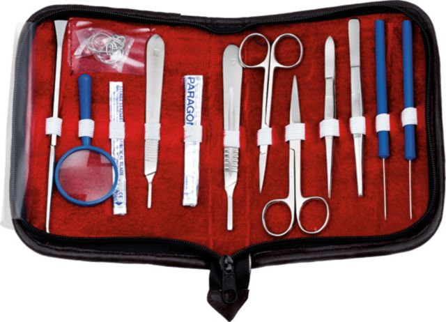 ANATOMY DISSECTING KIT